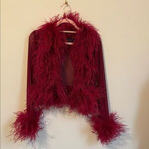 Burgundy ostrich feather Sheer top